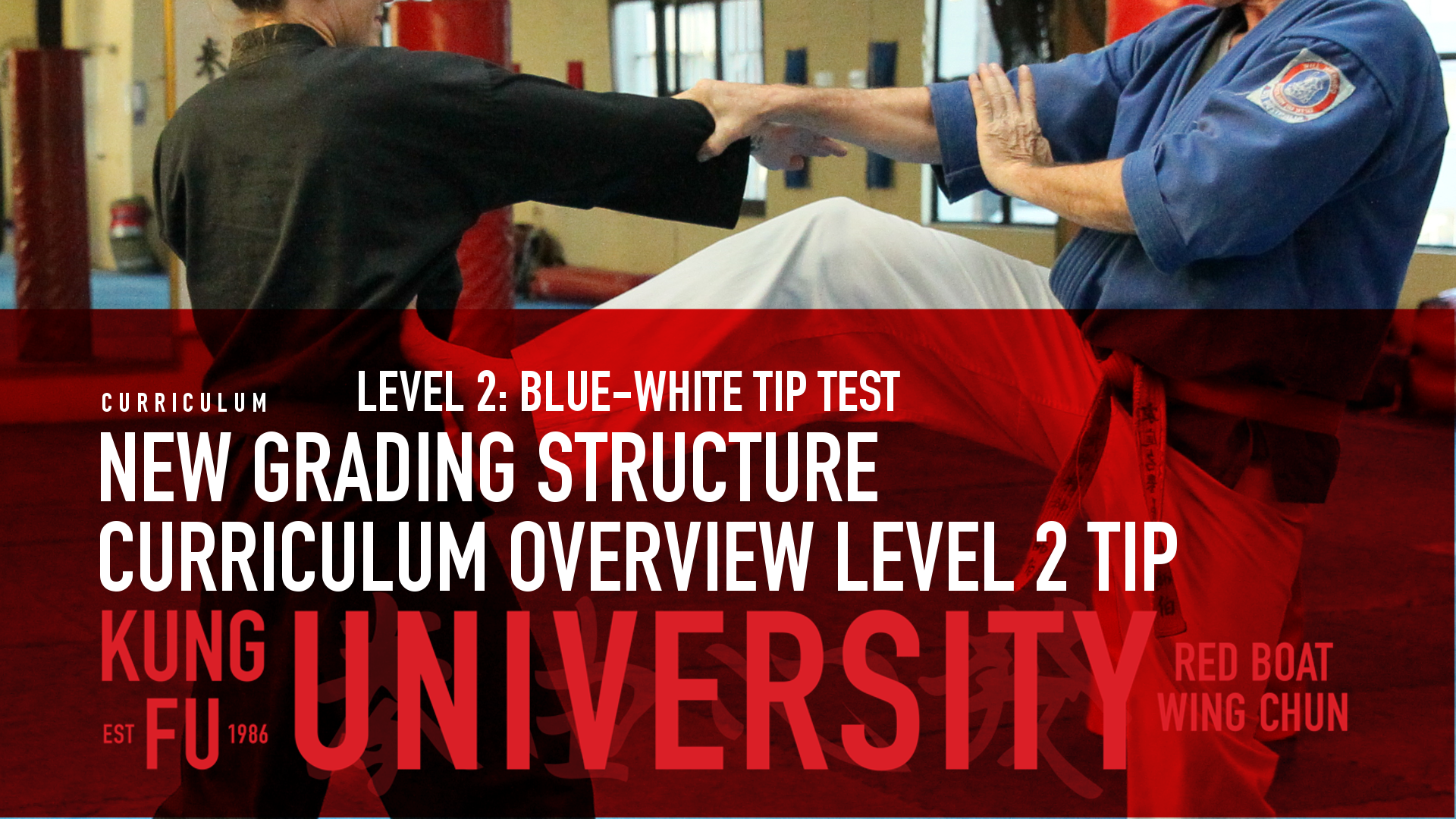 wing chun online grading assessment video wing chun online grading video