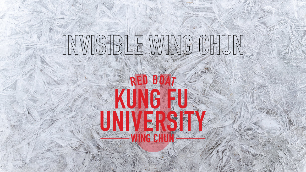 INVISIBLE WING CHUN invisible wing chun online course