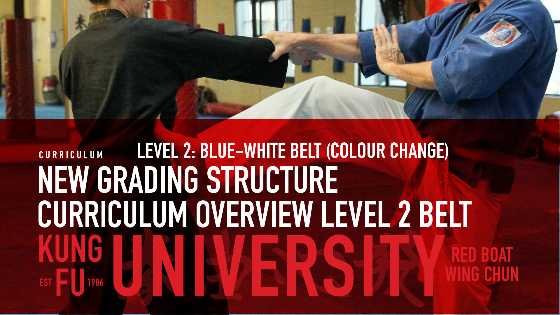 tn blu white belt wing chun 1st sash
